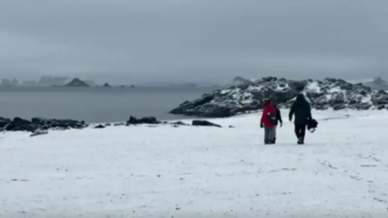 Tras 74 días en la Antártida: así vivió el equipo de RCN la expedición científica de la Armada