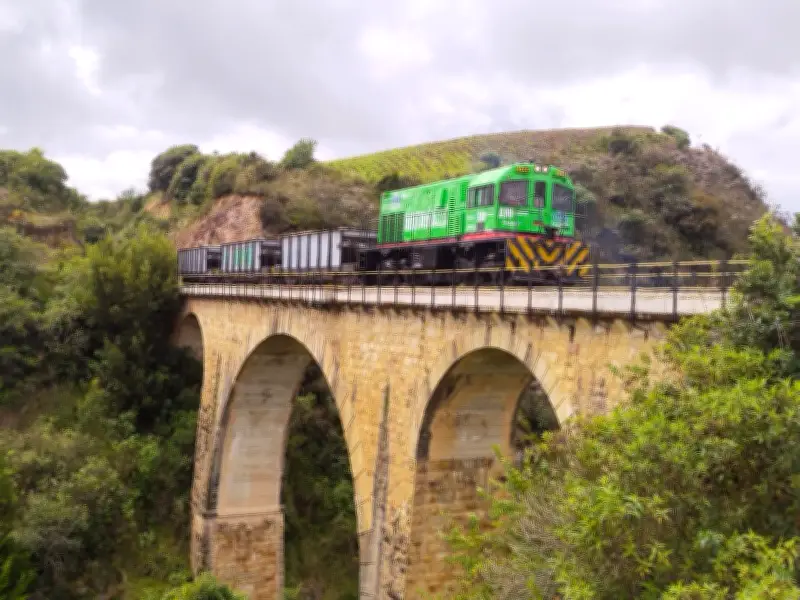 Tribunal de Cundinamarca confirma caducidad de contrato de Ferrocarriles del Pacífico