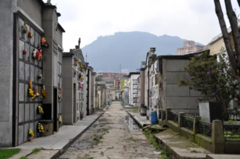 UAESP adjudica concesión de cementerios distritales de Bogotá a empresa privada