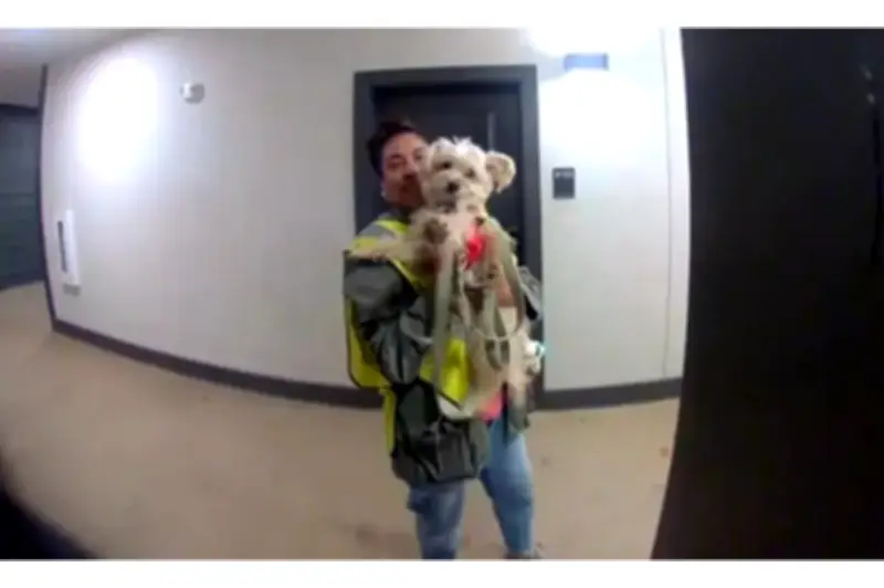 Un gesto de gratitud en Dallas se transforma en ola de solidaridad para trabajadora