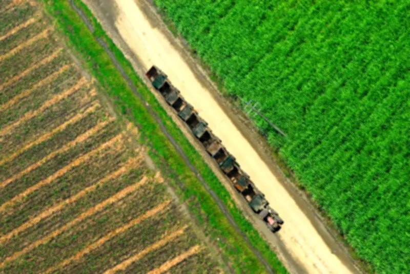 Valle del Cauca lidera desempeño económico nacional en 2025 según nuevo índice de la CCC