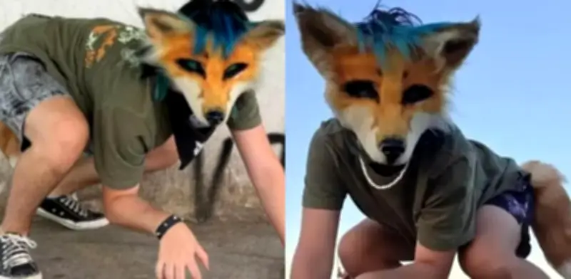 Veterinaria argentina rechaza atender a joven 'therian' que buscaba cura para el 'moquillo'