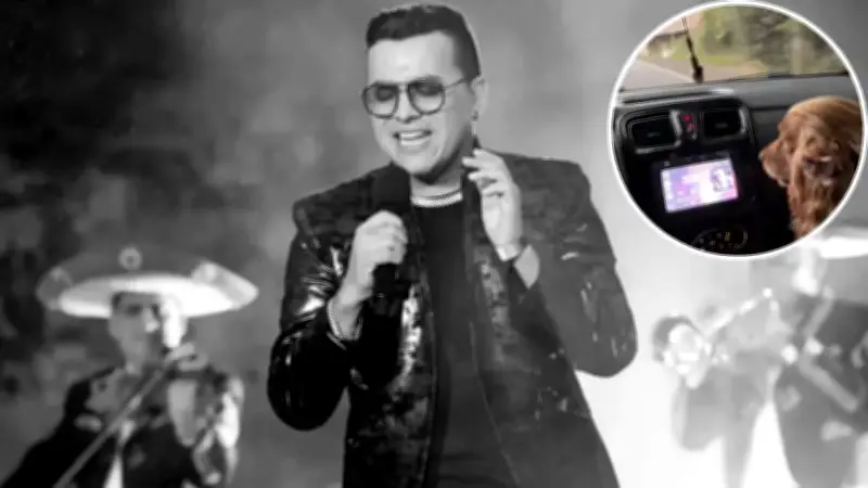 Video viral: perrita se emociona con música de Yeison Jiménez y conmueve redes sociales