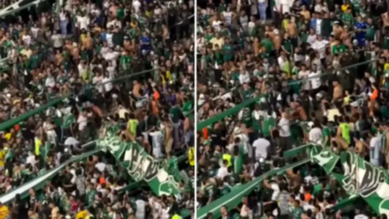 Violencia en Palmaseca: Hincha del Deportivo Cali herido gravemente tras pelea en tribuna