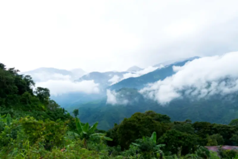 Violencia se desborda en Sierra Nevada: combates armados dejan muertos y desplazados forzados