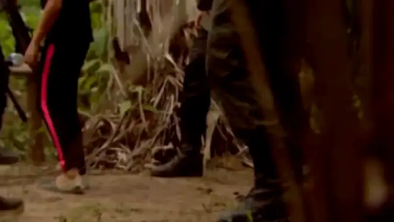 WhatsApp salvó a dos niñas del reclutamiento forzado por disidencias en Cali