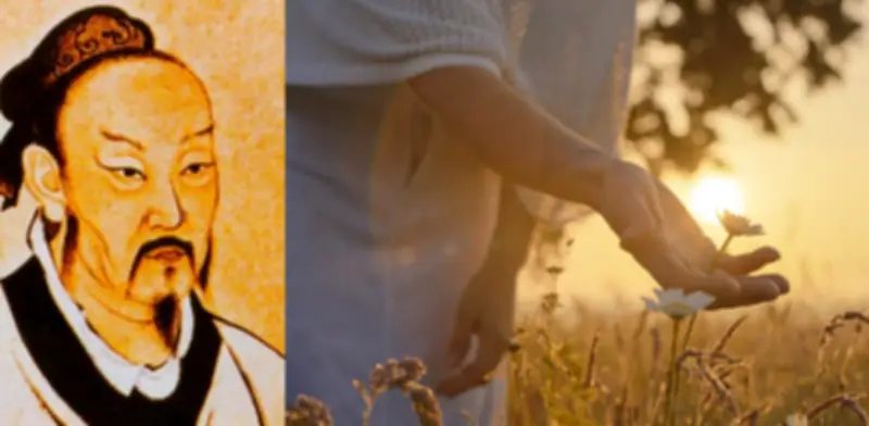 Zhuang Zi y su metáfora del árbol torcido: vivir libre frente a las expectativas sociales