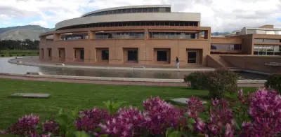 Alerta en Bogotá: Pollo crudo con posible veneno encontrado cerca de Biblioteca Virgilio Barco