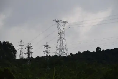 ANLA aprueba modificación de licencia ambiental para proyecto eléctrico en 37 municipios