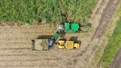 Asocana advierte que plantas de etanol podrían parar en una semana por falta de gas