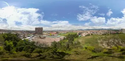 Bogotá reemplaza 311 árboles exóticos por 3.500 nativos en humedales para restaurar ecosistemas