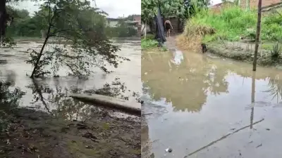 Cali y Candelaria en alerta naranja por creciente del río Cauca