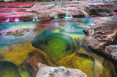 Caño Cristales: El Río de los Cinco Colores en Meta, Maravilla Natural de Colombia