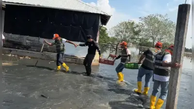 Cartagena despliega equipo veterinario en Montería para rescatar más de 300 animales afectados por inundaciones