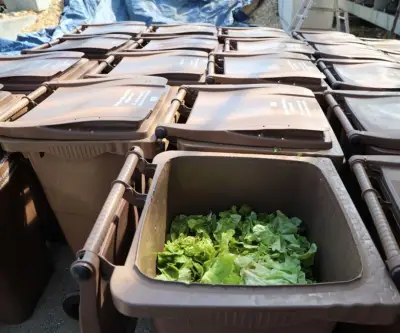 Certificación B Corp endurece requisitos: desafíos y oportunidades para empresas colombianas