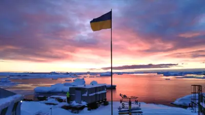 Ciencia ucraniana en la Antártida: Pingüino rey avistado en estación Vernadsky
