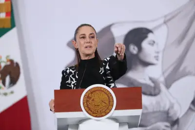 Cierre aéreo en El Paso por drones de cárteles mexicanos: Sheinbaum niega información