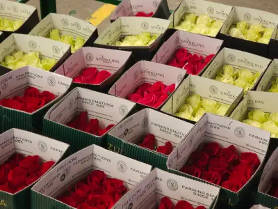 Cómo dar segunda vida a las flores de San Valentín: secado, prensado y aromas