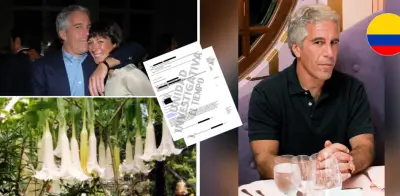 Correos de Epstein revelan interés en escopolamina colombiana para manipular voluntades