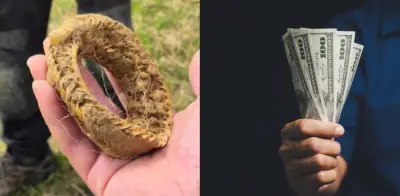 Descubren collar de oro de 3.200 años en jardín británico: valorado en 175.000 euros