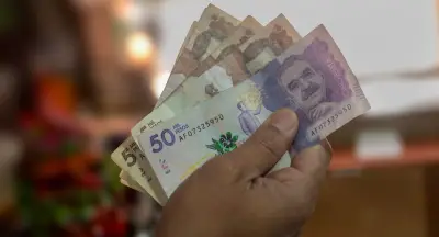 Dian advierte: actualización del RUT en 2026 es obligatoria y gratuita para evitar multas