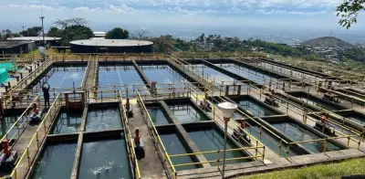 Emcali realizará intervenciones simultáneas en servicios públicos este lunes en Cali