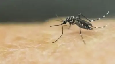 Emergencia por lluvias en Urabá: 19 casos de dengue confirmados en Necoclí