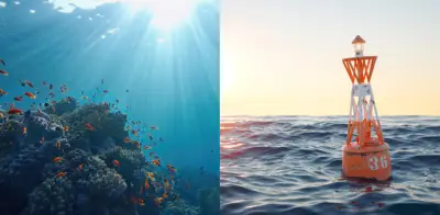 Estudio hispano-colombiano alerta: calentamiento oceánico reduce biomasa de peces un 20% anual