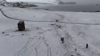 Expedición colombiana concluye histórica misión en la Antártida tras 85 días de transmisión