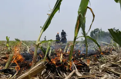 Fiscalía llama a juicio a 12 menonitas por graves delitos ambientales en el Meta