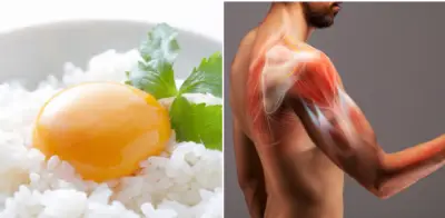 Harvard revela que el arroz con huevo potencia la masa muscular y la recuperación deportiva
