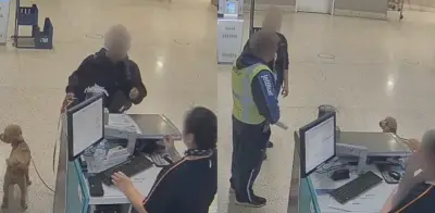 Indignación en EE.UU. por mujer que abandonó a su perro en aeropuerto de Nevada