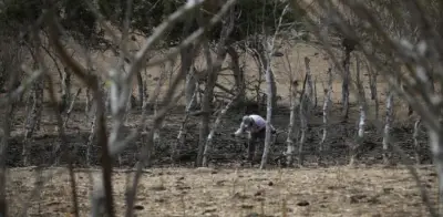 Iniciativa juvenil mapea el financiamiento climático global con plataforma Re-Action