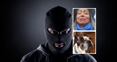 Insólito robo con arma de fuego para hurtar perro en Bogotá: exponen vehículo involucrado