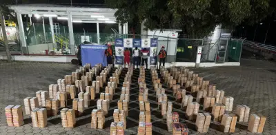 Inteligencia Naval de Colombia: Así se interceptan toneladas de cocaína en el Pacífico