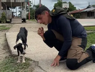 Julián Pinilla rescata perrita en Amazonas: Pepa supera anemia y sarna tras 182 días