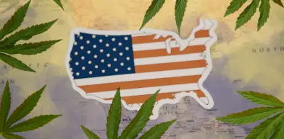 Legalización de marihuana en EE.UU.: ¿Fracaso o llamado a ajustes regulatorios?