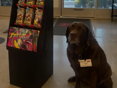 Nala, la labradora que se convirtió en la empleada estrella de una ferretería en California