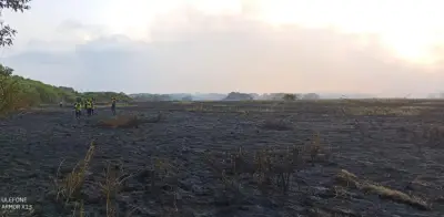 Nuevas quemas en Parque Isla Salamanca cubren Barranquilla de humo: crisis ambiental se intensifica