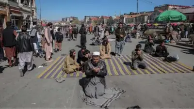 Pakistán y el Talibán afgano entran en guerra abierta tras ataques transfronterizos