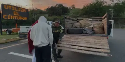 Policía incauta 140 kilos de marihuana en vía del Valle del Cauca y captura a dos personas