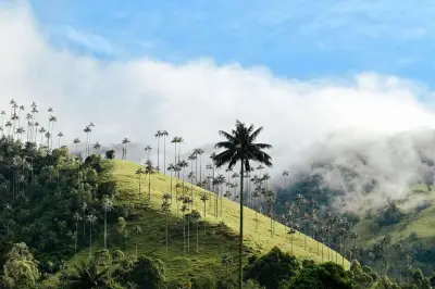 Quindío lanza campaña turística 'No me creas, vívelo' en Anato 2026 para impulsar visitas