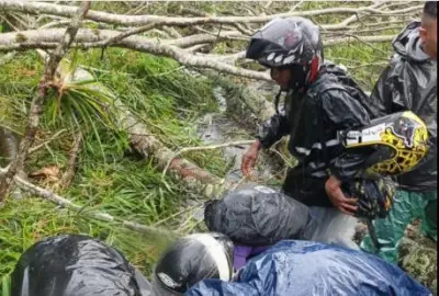 Árbol cae sobre motociclista en Pereira: magangueleño muere en el acto