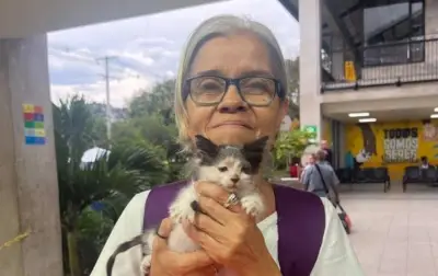 Reconocida activista animalista hallada muerta en Cali; su hijo es principal sospechoso