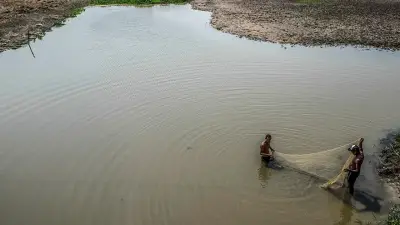 Sector arrocero alerta: lluvias agravaron fallas estructurales en La Mojana