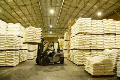 Sector azucarero colombiano alerta sobre aumento de importaciones bolivianas pese a buen balance 2025