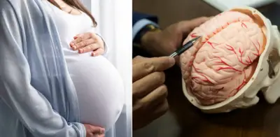 Segundo embarazo modifica redes cerebrales de atención y su relación con la salud mental materna