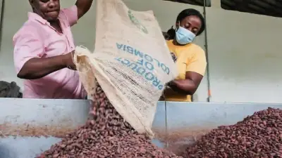 SENA lanza certificación gratuita para 2.000 mujeres trabajadoras en Colombia