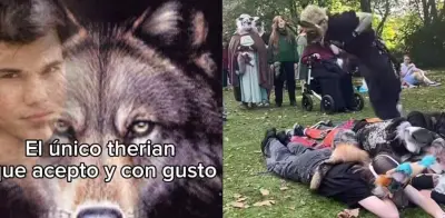 Therians en redes: entre memes virales y estigmatización de identidades animales
