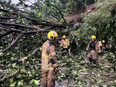 Torrenciales lluvias en Cali causan emergencias en múltiples barrios de la ciudad